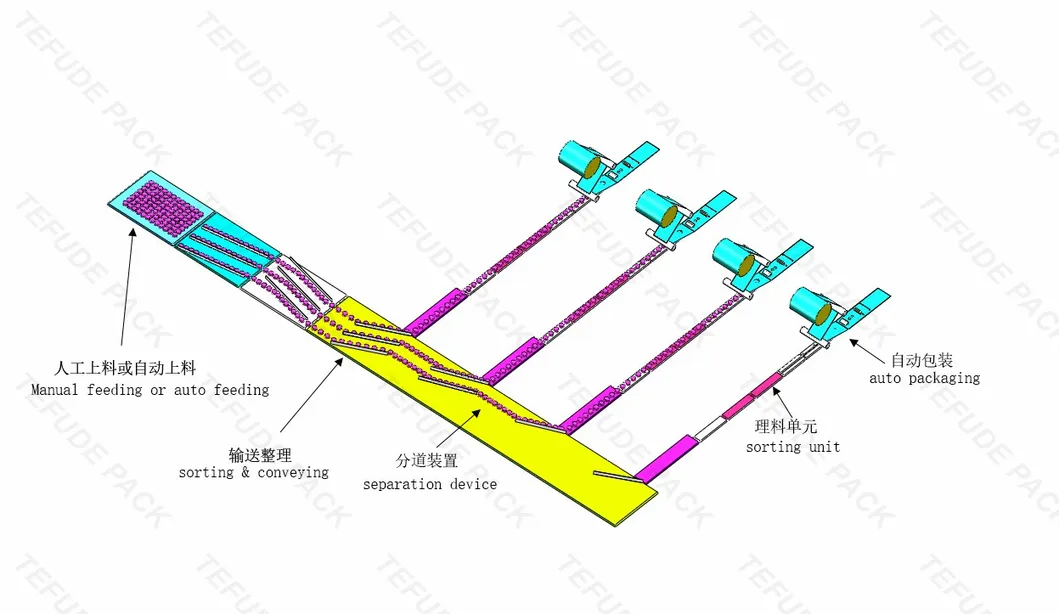 Packaging Line Components