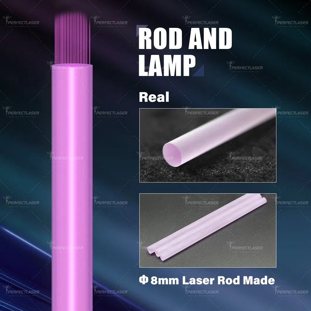 The Best Picosecond Tec Cooling Hair Removal Machine with Single Lamp and Dual Rod Painless Tattoo Removal Pico Laser Price