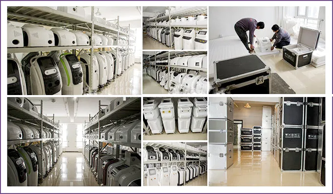 Hair Growth Cycle Theory