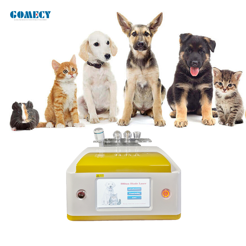Gomecy Veterinary 980nm Diode Laser Horse Therapy Device