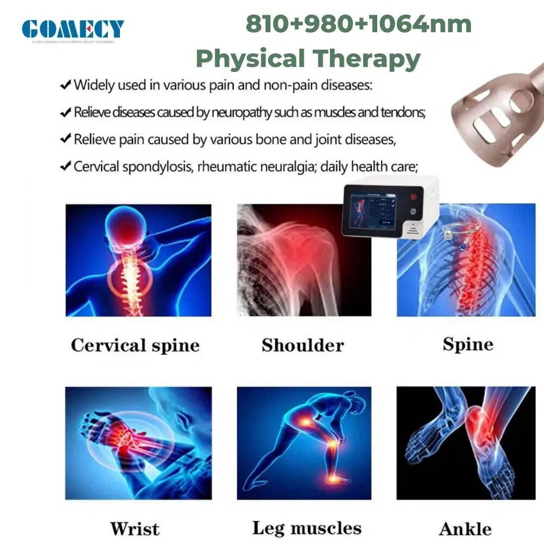 Physiotherapy Equipment High Power Diode Laser 980nm 810nm 1064nm Therapy Back Pain