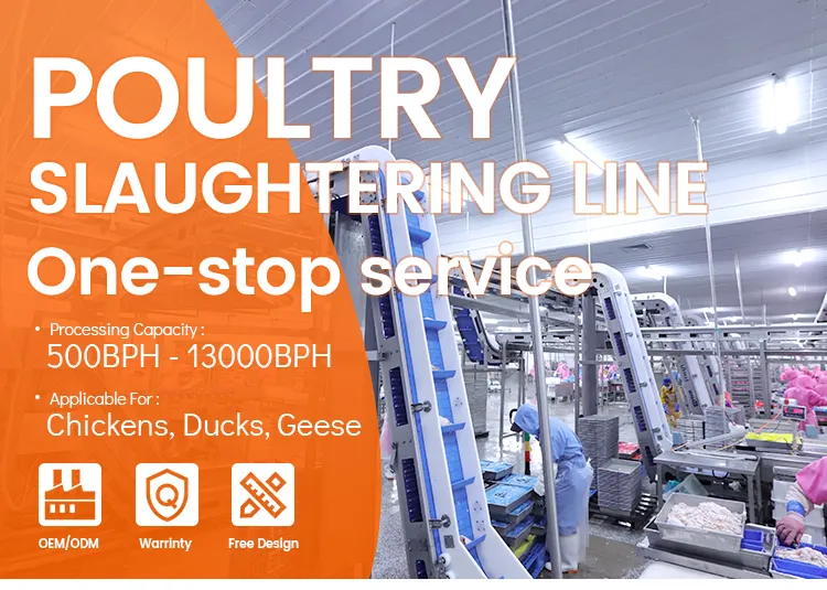 Poultry Slaughterhouse Machinery