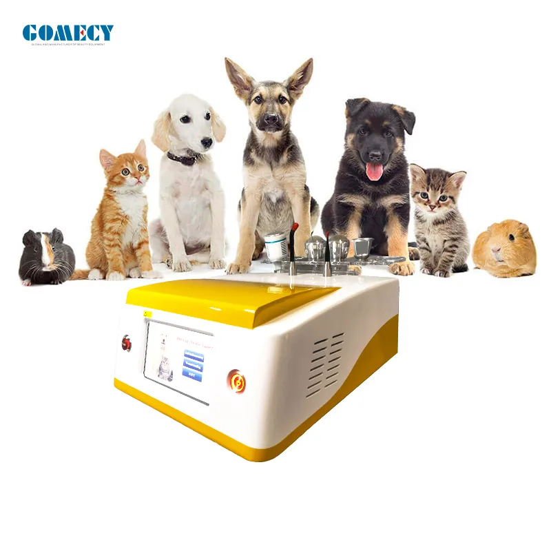 Animal Therapy Device