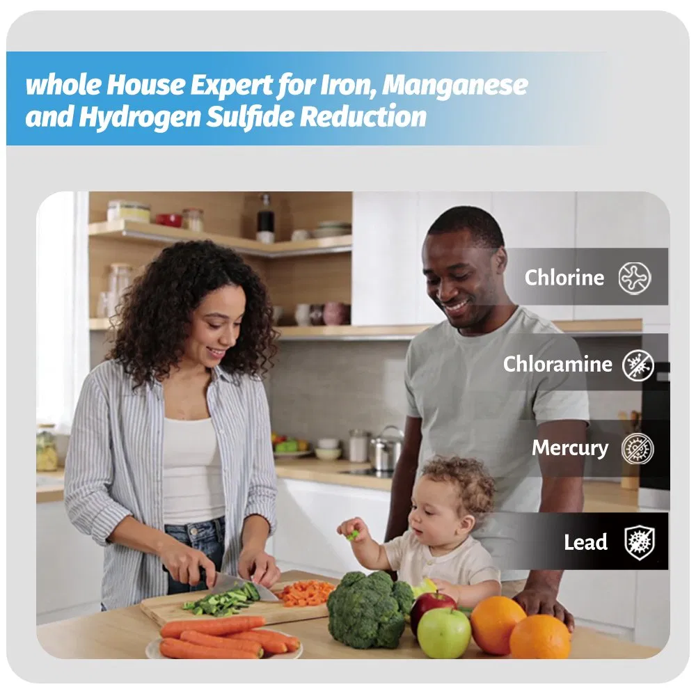 Hot Sale in Us Whole House Water Filtration System Multiple Models Outdoor Available High Quality Good Price