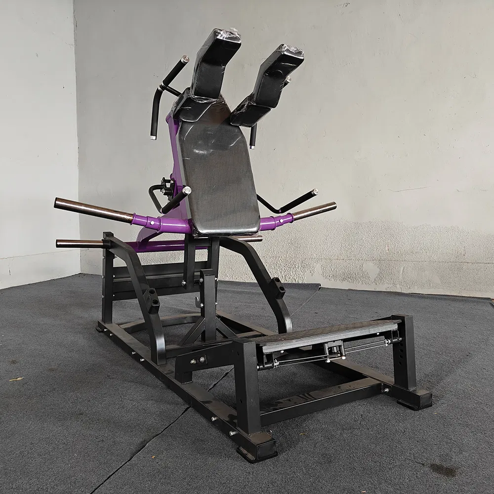 Leg Press Equipment 1