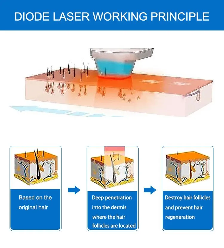 Working Principle Diagram