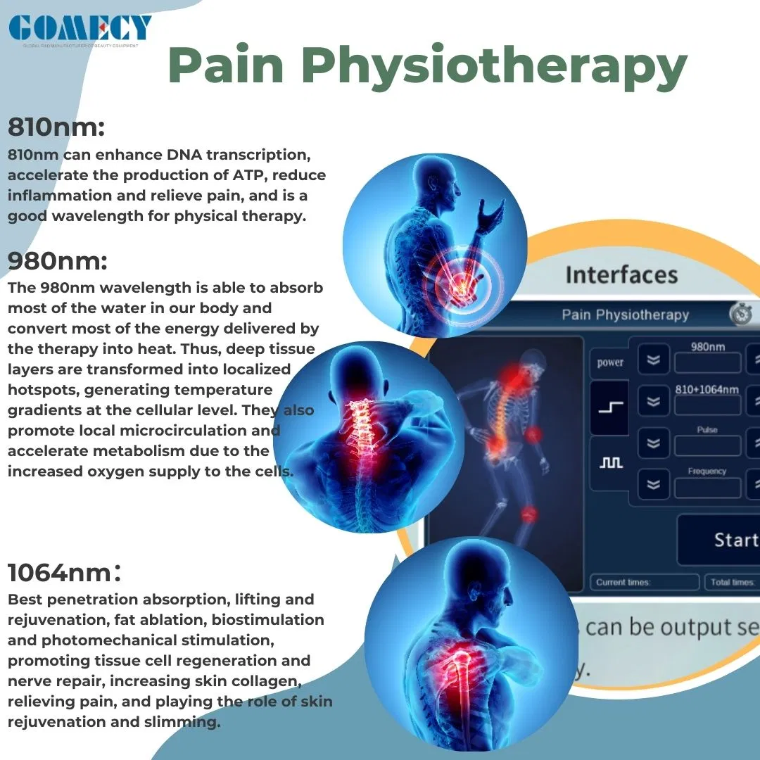 2025 New Class IV Physiotherapy Equipment High Power Diode Laser 980nm Therapy Back Pain