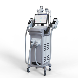 Multifunction Beauty 5 Handles Cryo Test Report Best Slimming Exercise Cellulite Freeze Cryolipolysis Machine in China