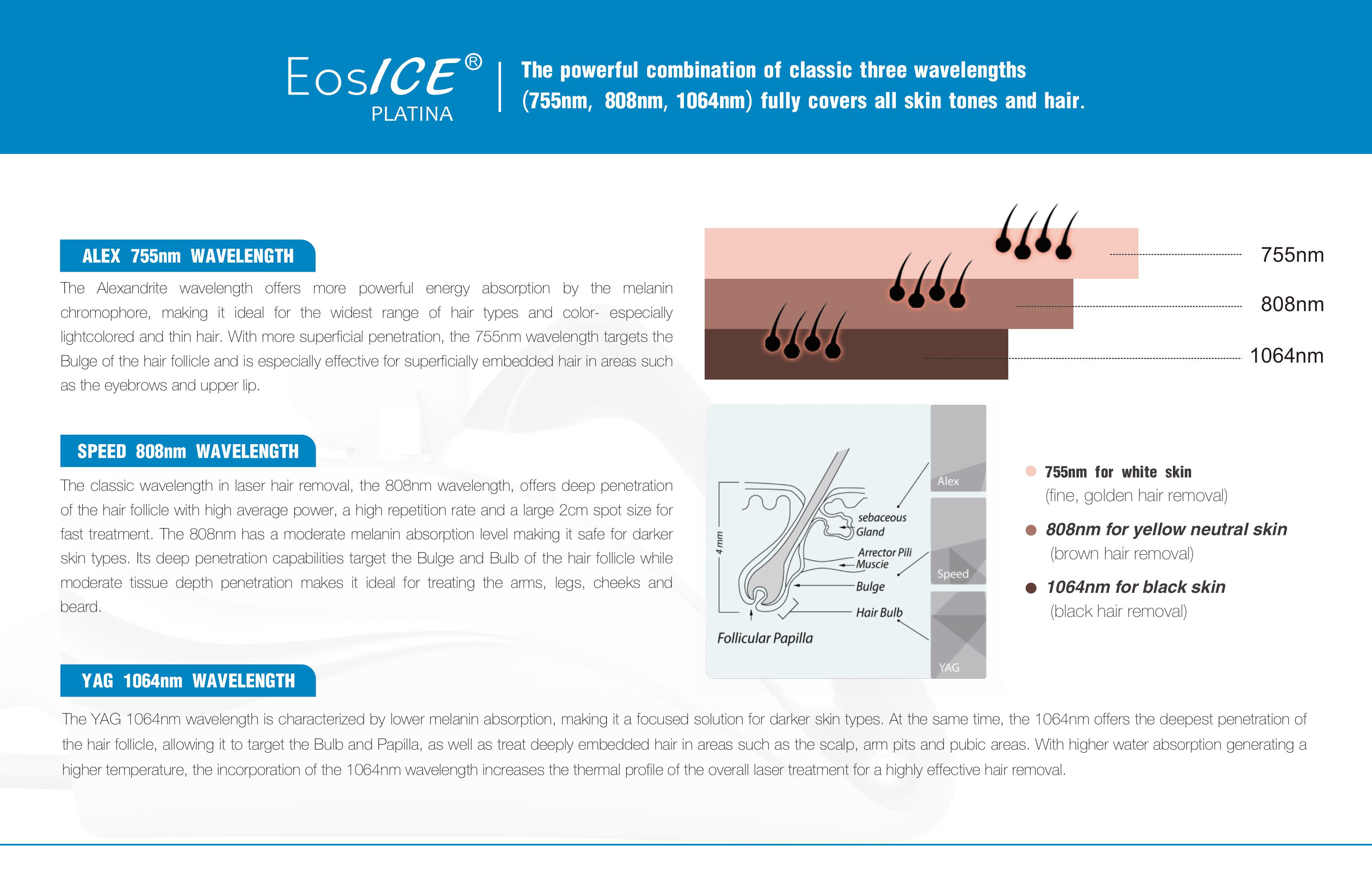 Display Screen Parameters