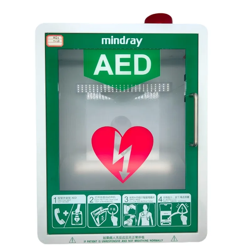 AED Cabinet View 1