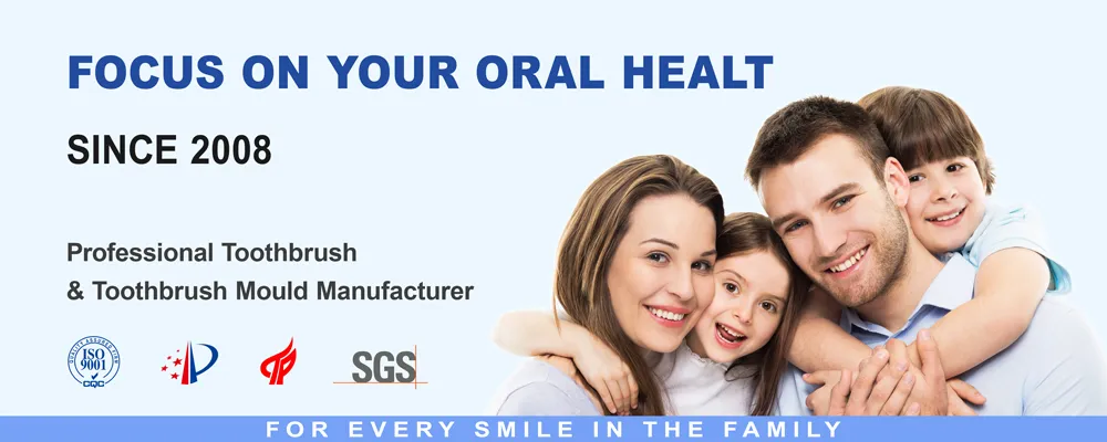 Toothbrush Description 1