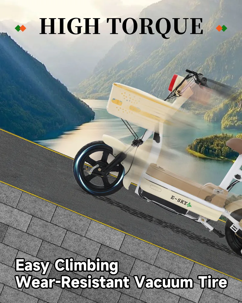 Electric Scooter Features