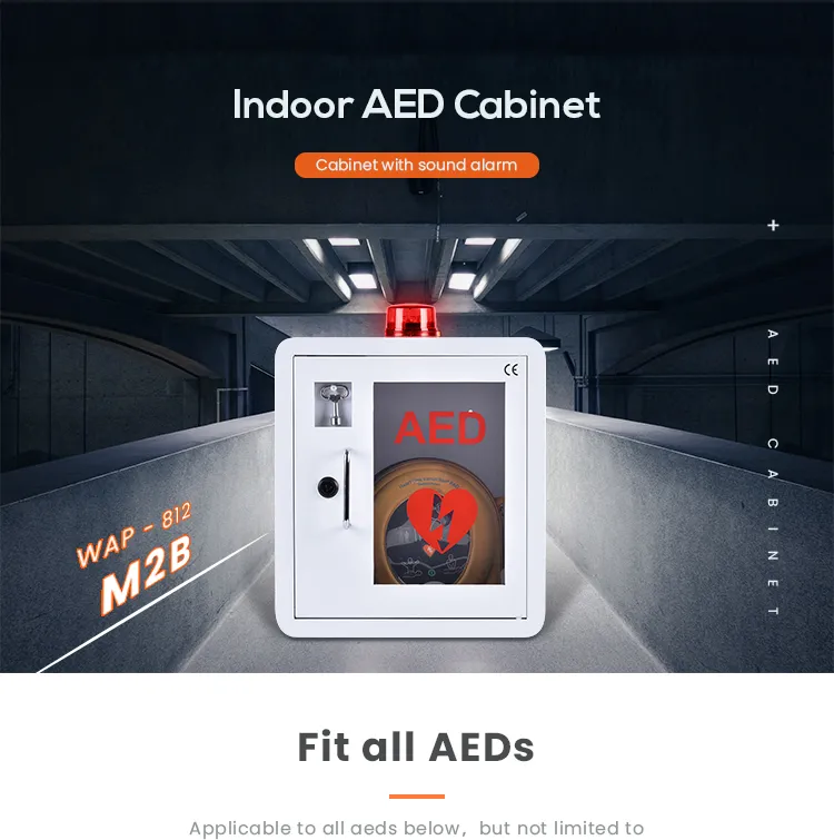AED Cabinet View 1