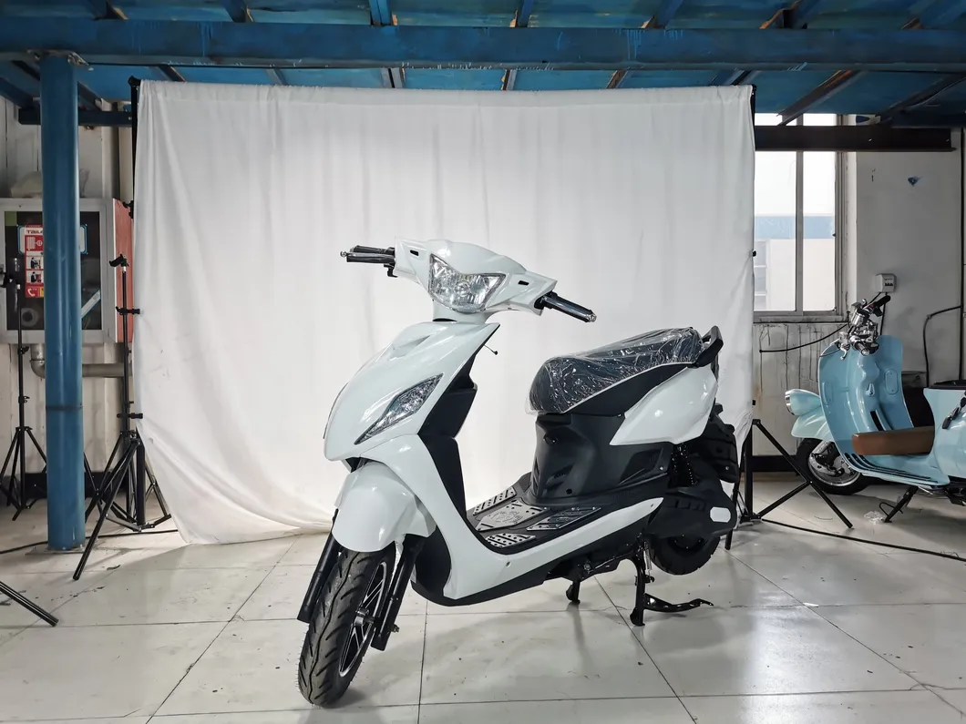 Electric Scooter Front View