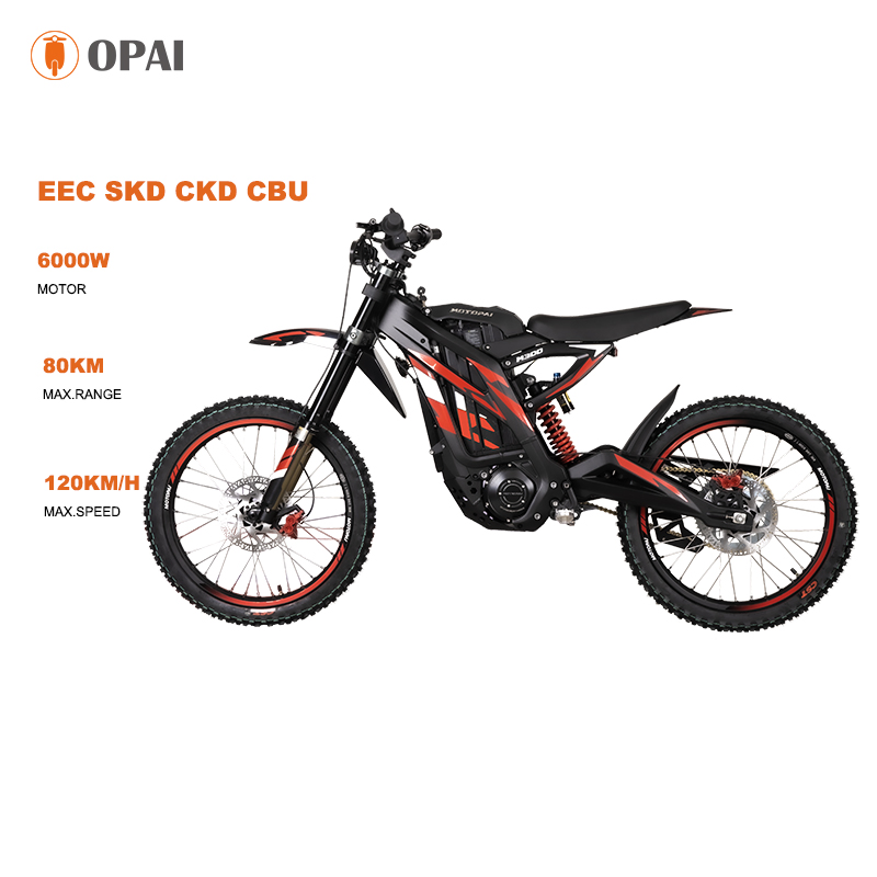 M300 3000W 6000W Ebike E Motorcycle Adult Electric Bicycle Electric Dirt Bike