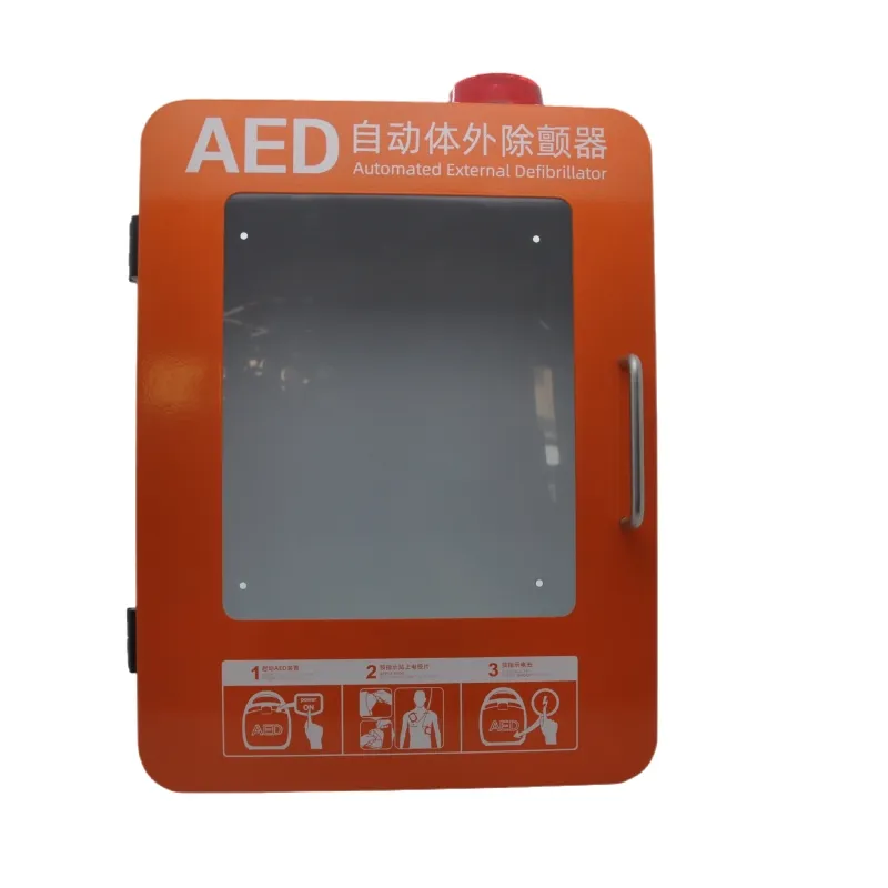 AED Cabinet View 2