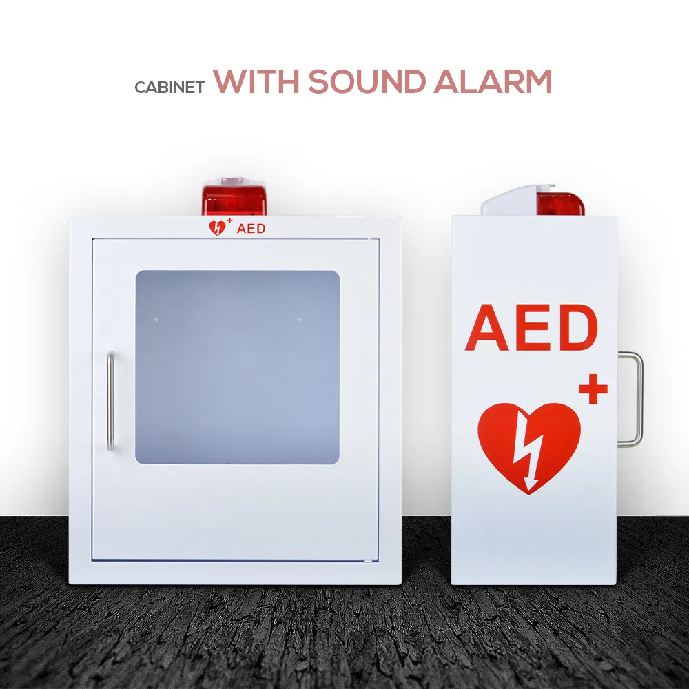 Wall Mouted Alarm Cabinet with Visual System Aed Box