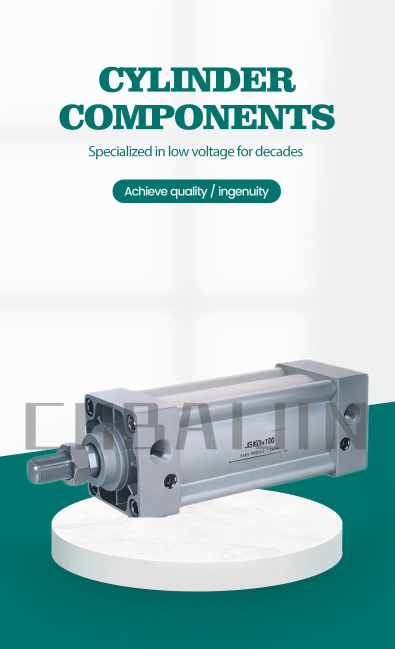 JSI Series Standard Cylinder 1