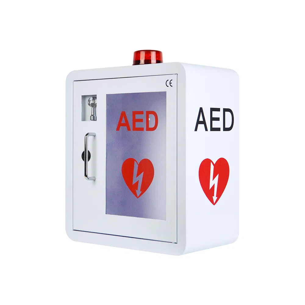 Wall Mouted Alarm Cabinet with Visual System Aed Box