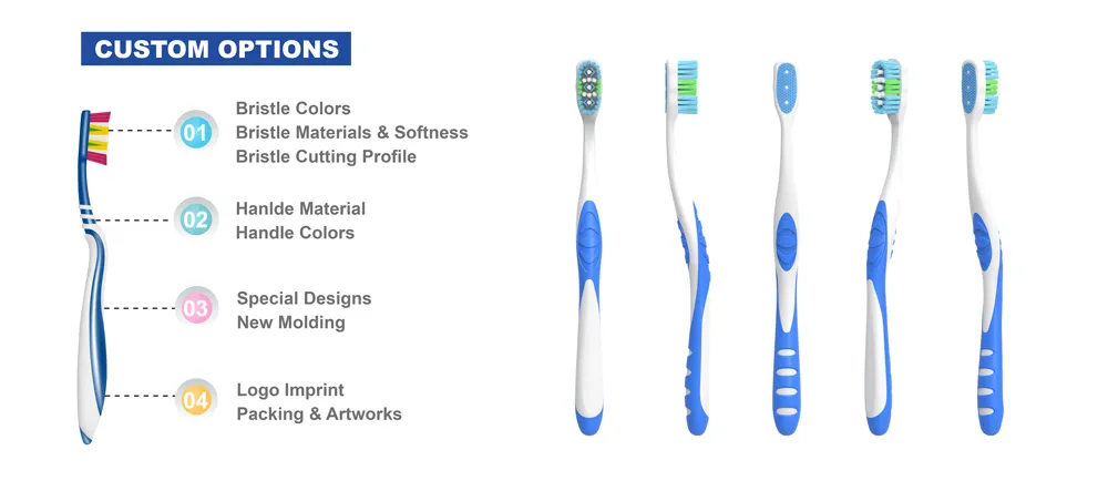 Toothbrush Description 3