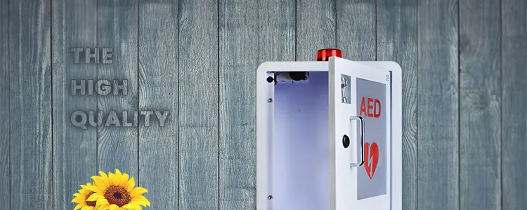 Wall Mounted Medical Box