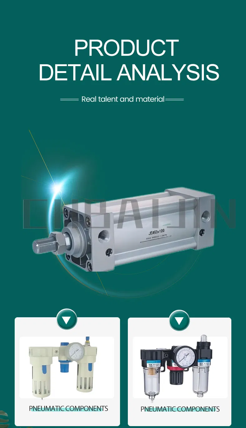 JSI Series Standard Cylinder 3