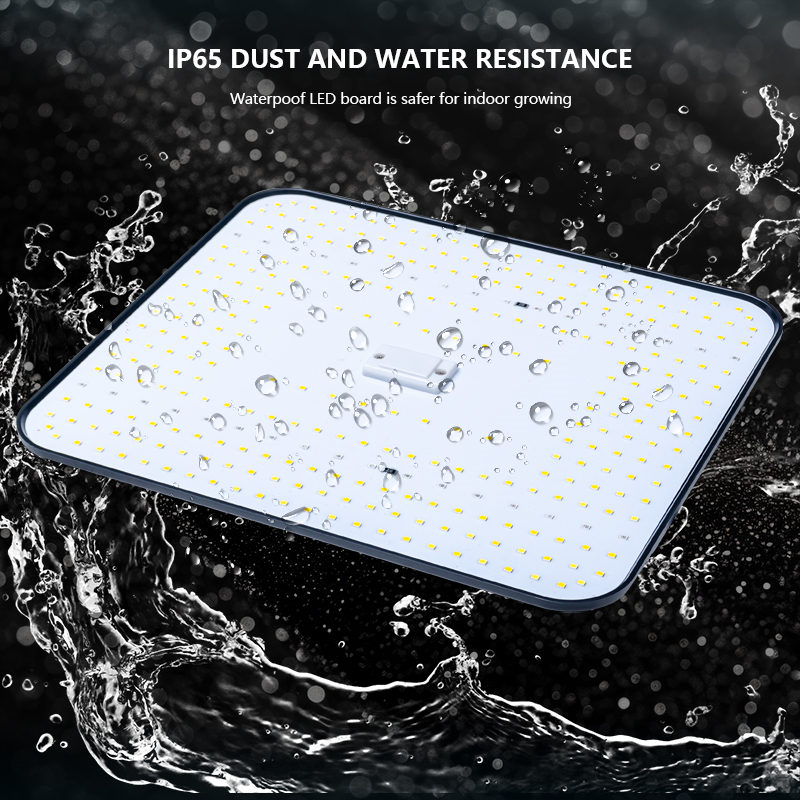 100W Dimmable Full Spectrum Quantum Panel LED Grow Light Board Cob Chip IP65 Rating Aluminum Body for Greenhouse Indoor Plants