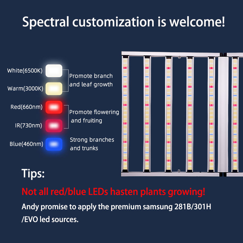 Commercial 4X4 4X6 4X8 FT 1200w 1000w 800w 720w Samsung Lm301h EVO UV IR Lamp Full Spectrum LED Grow Light Bar For Indoor Plant