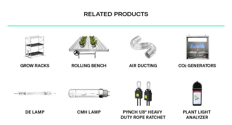 Related Product Option 3