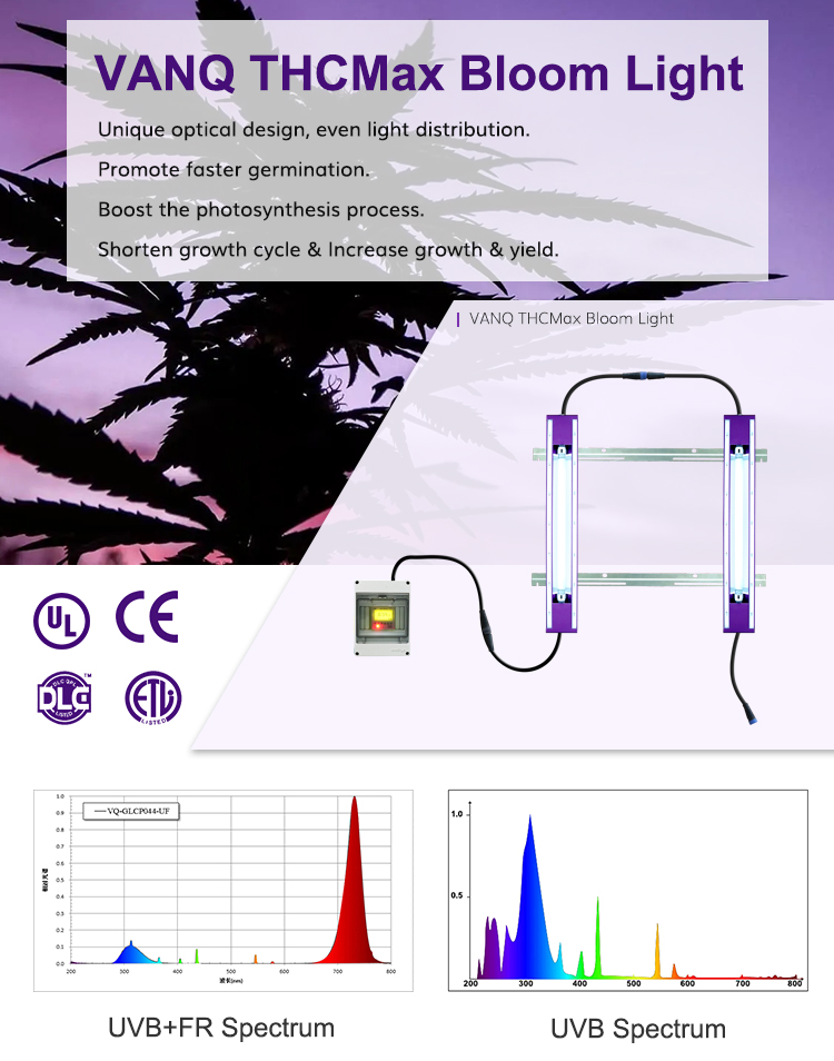 Supplemental grow light view 1