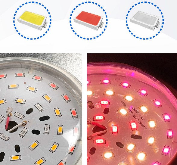 LED Chips