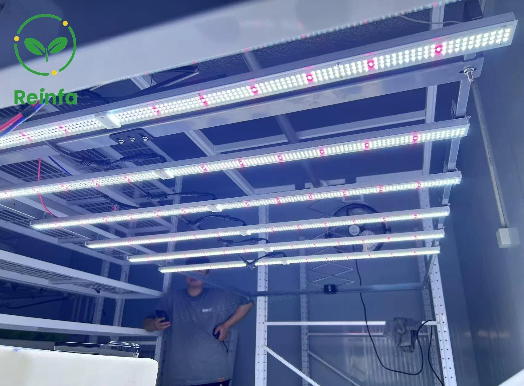 Full Spectrum 650W LED Grow Light for Vertical Farming &amp; Hydroponics