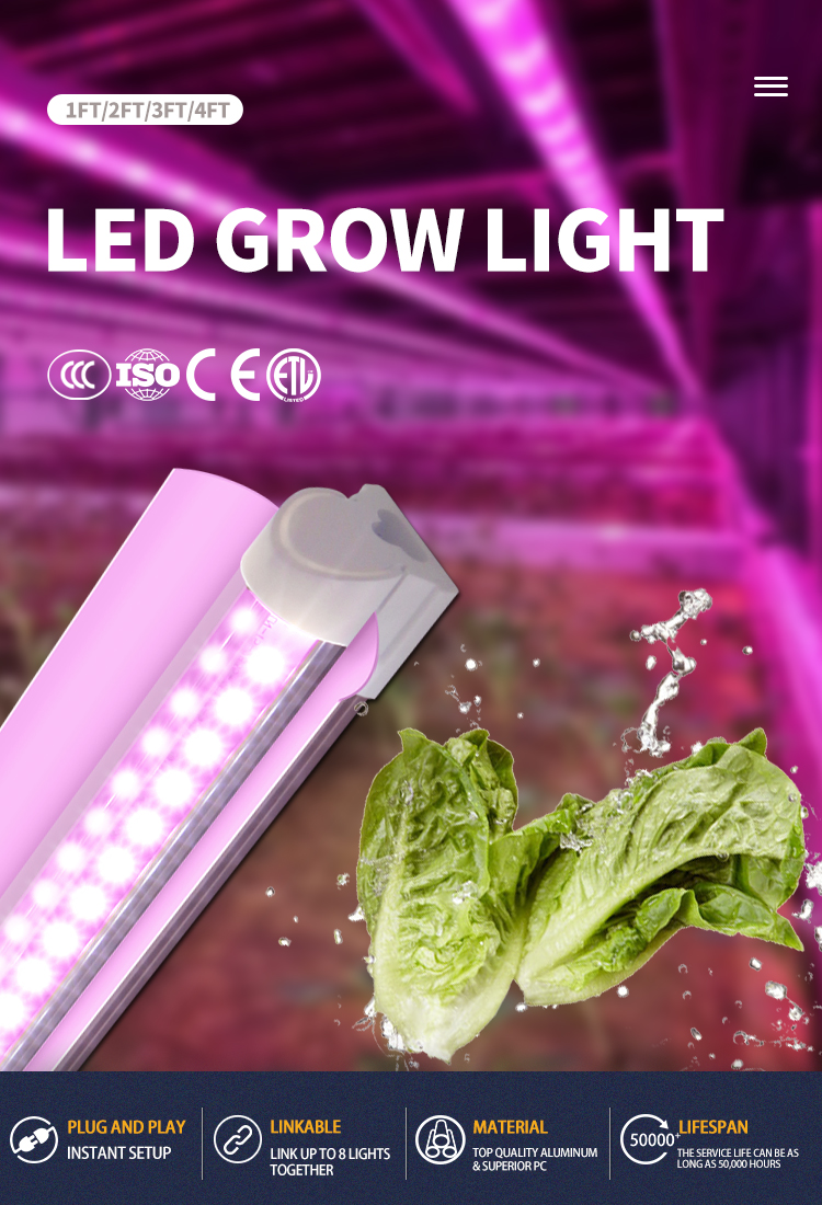 Product Description