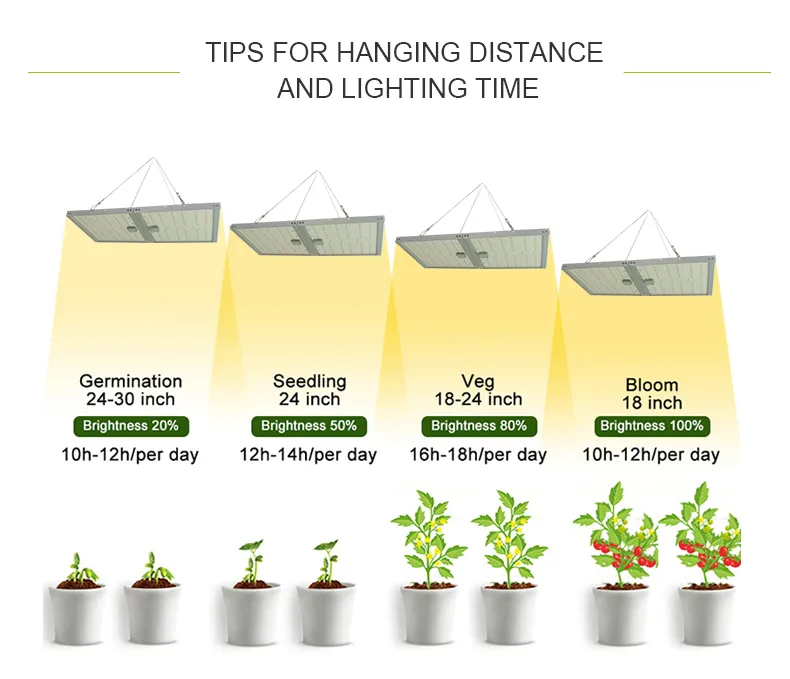 LED Grow Light 11