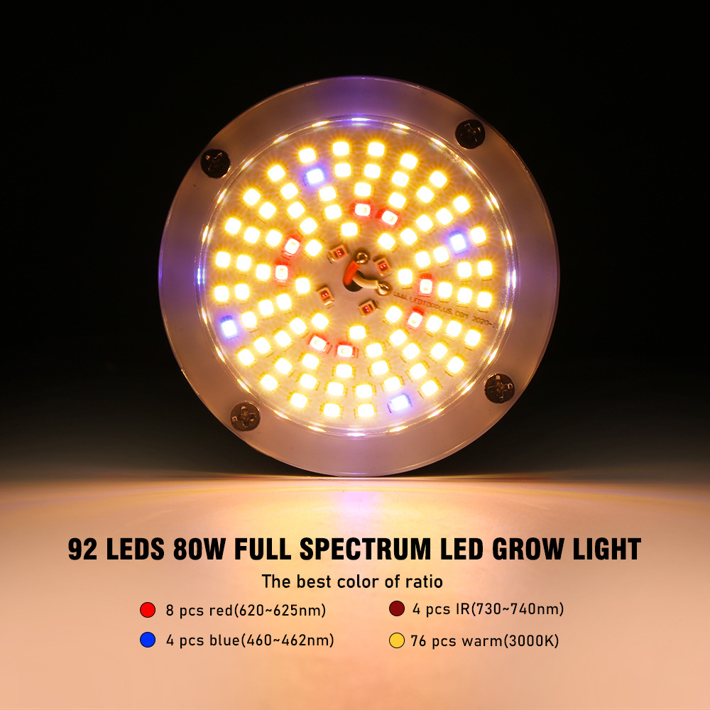 Grow Light Presentation 5