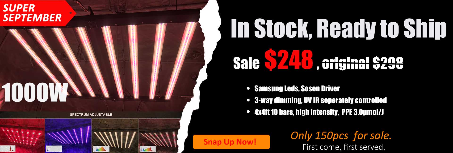 Plant Grow Light Showcase