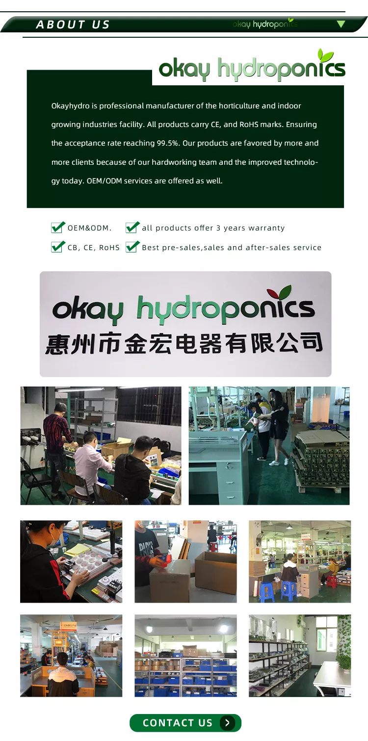About Us Information