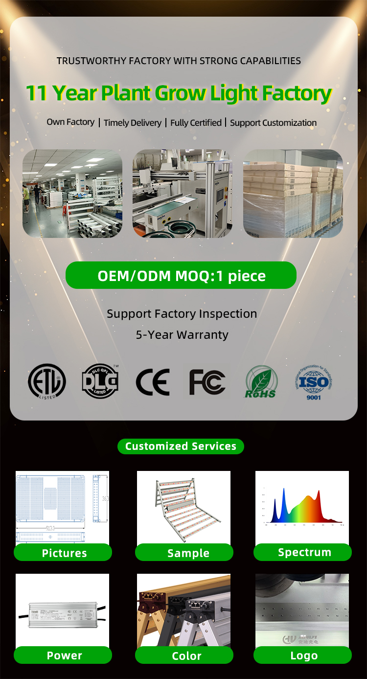 Company Showcase 1