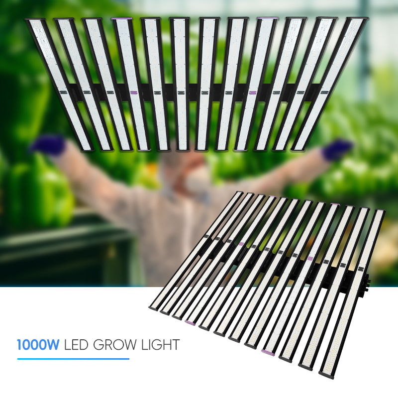 Lm301H EVO Led Grow Light 1100W 1000W Full Spectrum Vertical Indoor LED Grow Light For Indoor Plants