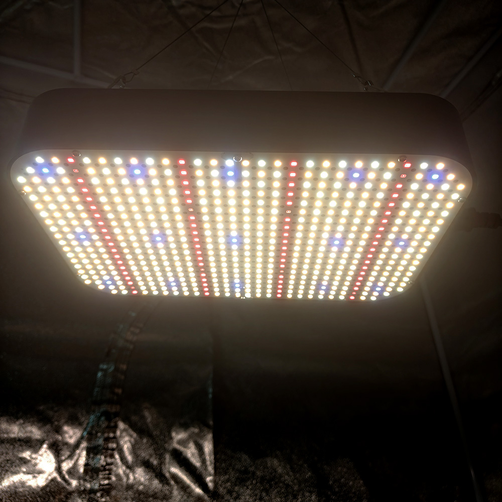 Dimmable 100w 150W 200W 300W 400W LED Grow Lights Full Spectrum LM218B with Fan Heat Sink for Indoor Commercial Plant Lamp