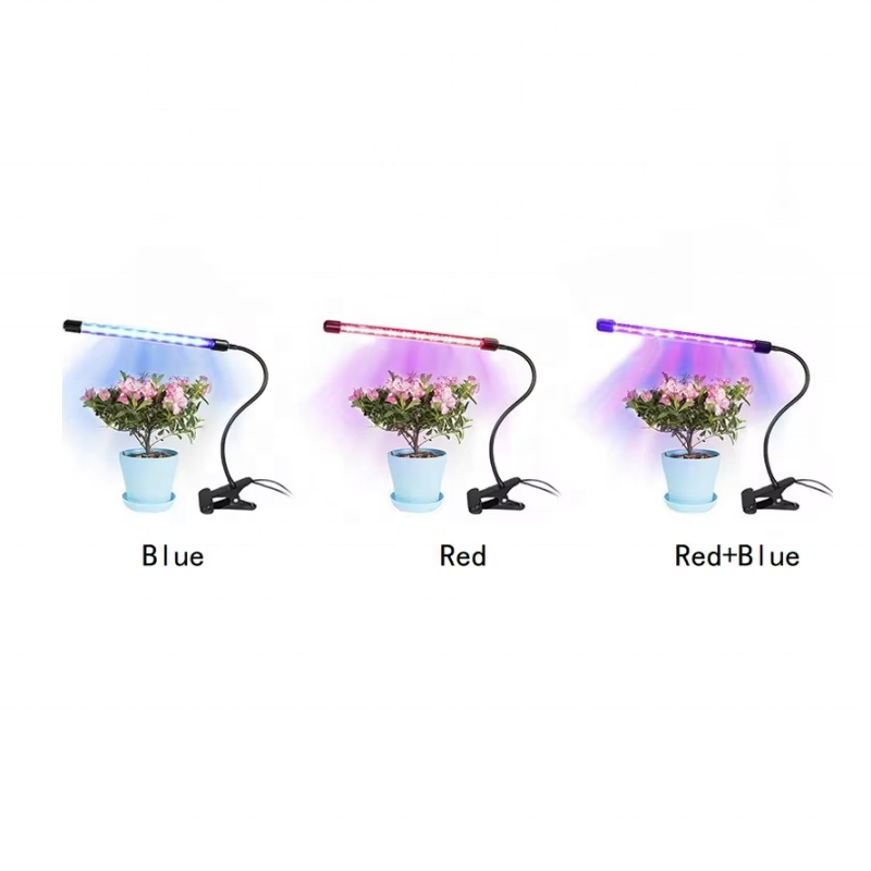 Full Spectrum LED Grow Light For Winter Indoor Growing Cold Climate High Power EAC Greenhouse Plant Growing Lamp OEM Supplier
