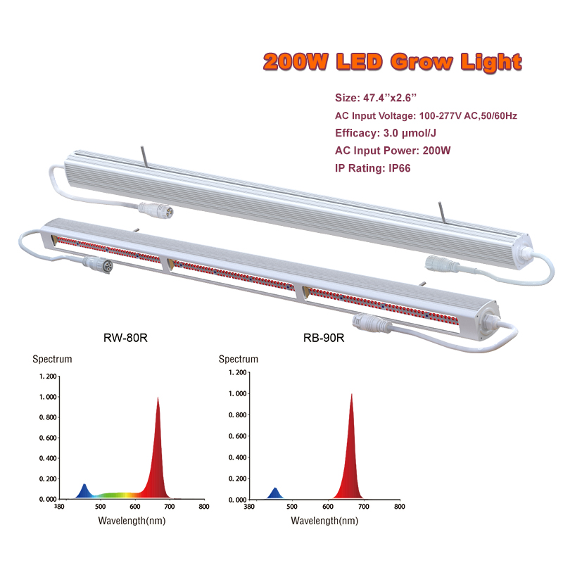 Longood 200W Veg LED Linear Plant Grow Light Hydroponic Efficient Indoor Garden Grow Lights