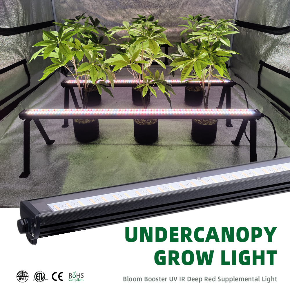 Undercanopy Grow Light