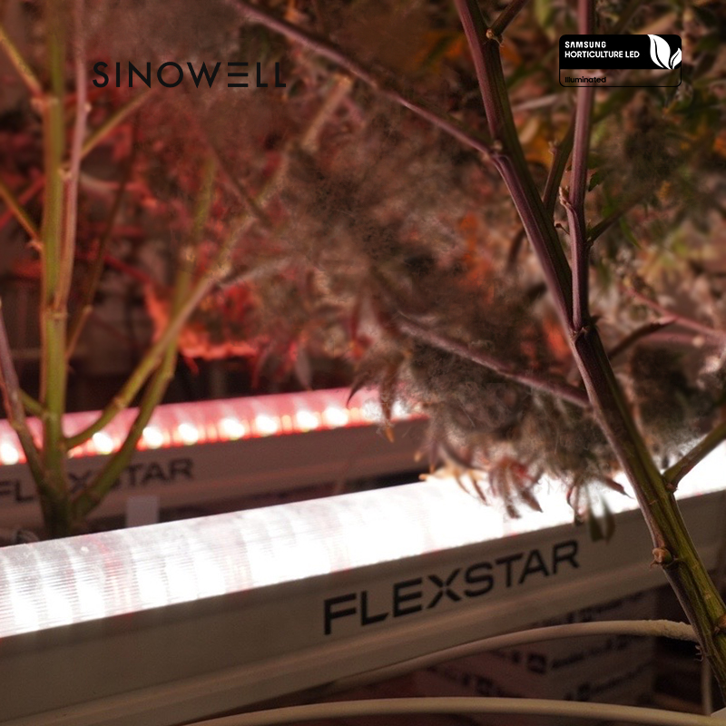 Good Review Under Canopy Inter-Row Grow Light Bar 120W R5 Full Spectrum for Indoor Plants Supplemental Light