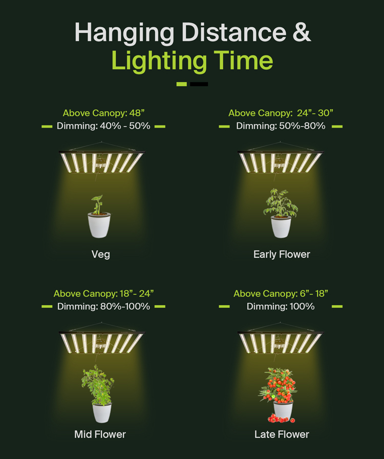Grow Light Full System Setup