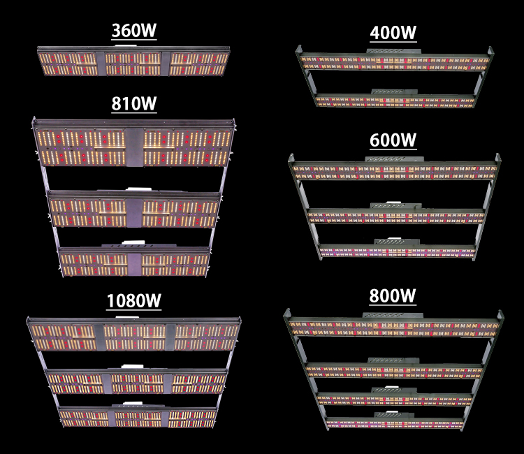 Product Details 2
