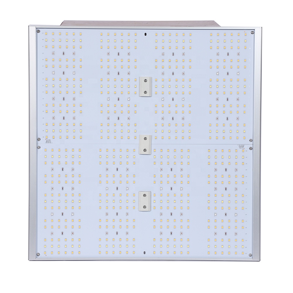 Grow Light Presentation 3