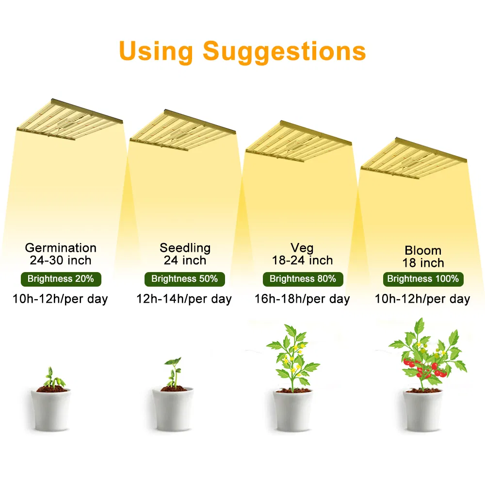 Spider LED Grow Lights Performance