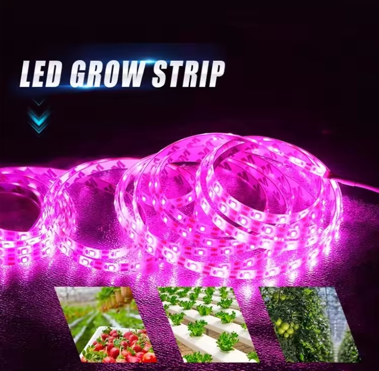 Grow Light Full Spectrum LED Waterproof Flexible Tape LED Phyto Lamps for Greenhouse Hydroponic Plant