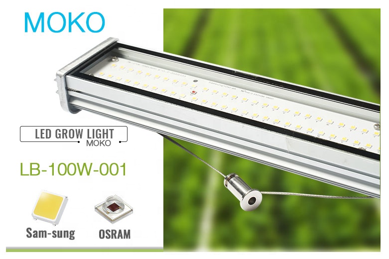 IR UV Full Spectrum 120W 240W MeanWell Driver LED Lamp LM301h LED Grow Light Board For Plants Hydroponics